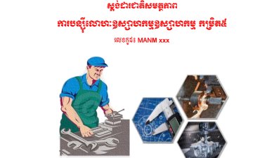 ស្ដង់ដាជាតិសមត្ថភាព ការបន្ស៊ីលោហៈឧស្សាហកម្ម កម្រិត៥